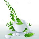 White Mortar with Green Plant and White Pills